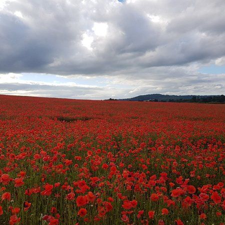 Burlish Top Nature Reserve